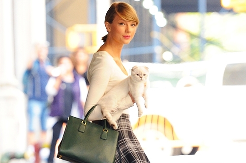 Taylor Swift Posts Adorable Cat Video on Instagram