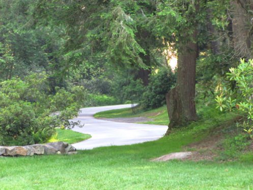 biltmore-estate-driveway