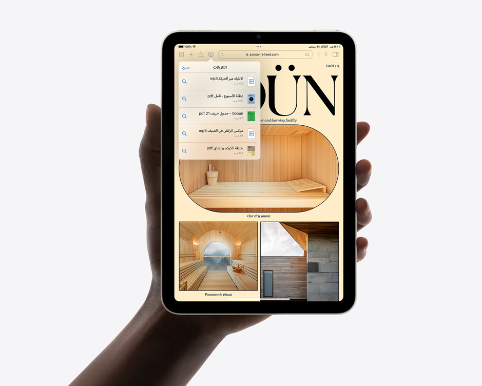  Safari‏ على iPad mini‏