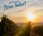 Titelbild mit Weinbergen und Blick auf Sonnenuntergang 