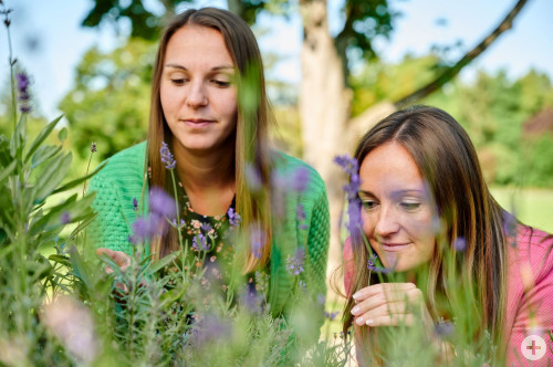 Zwei junge Frauen riechen an Lavendelblüten im Sole-Aktiv-Park