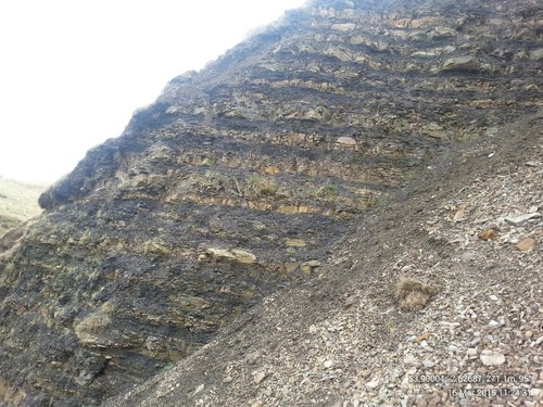 Upper Bowland Shale