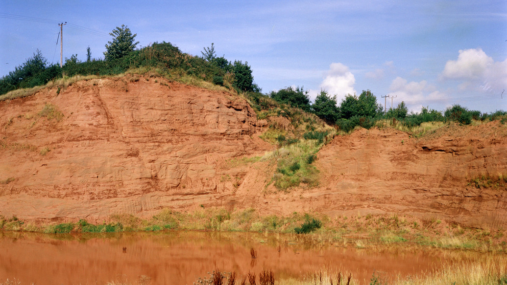 Kidderminster Formation Sandstone at Shepley Quarry. Sandstones high in the Kidderminster Formation, Sherwood Sandstone Group. BGS © UKRI.