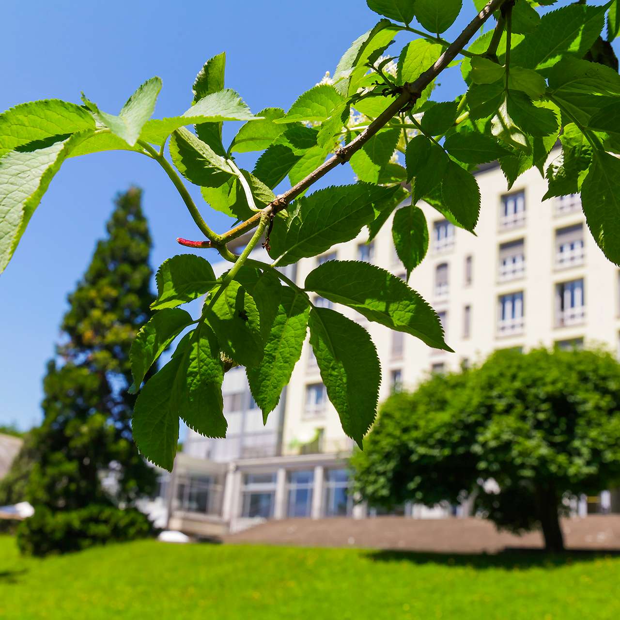 La HEP Vaud devient partenaire de Focus Sustainability