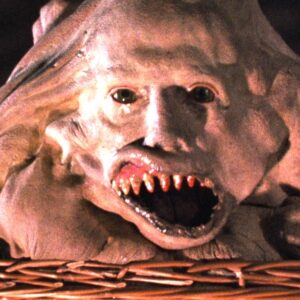 The What Happened to This Horror Movie series looks back at Frank Henenlotter's 1982 cult classic Basket Case