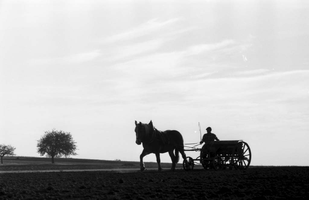 Landwirtschaft