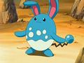 Azumarill (de Paul)