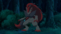 Zoroark (de Mohn)