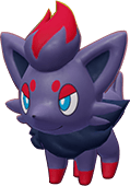 Zorua