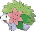 Shaymin