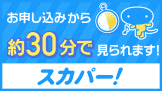 スカパー!お申し込みから約30分で見られます!