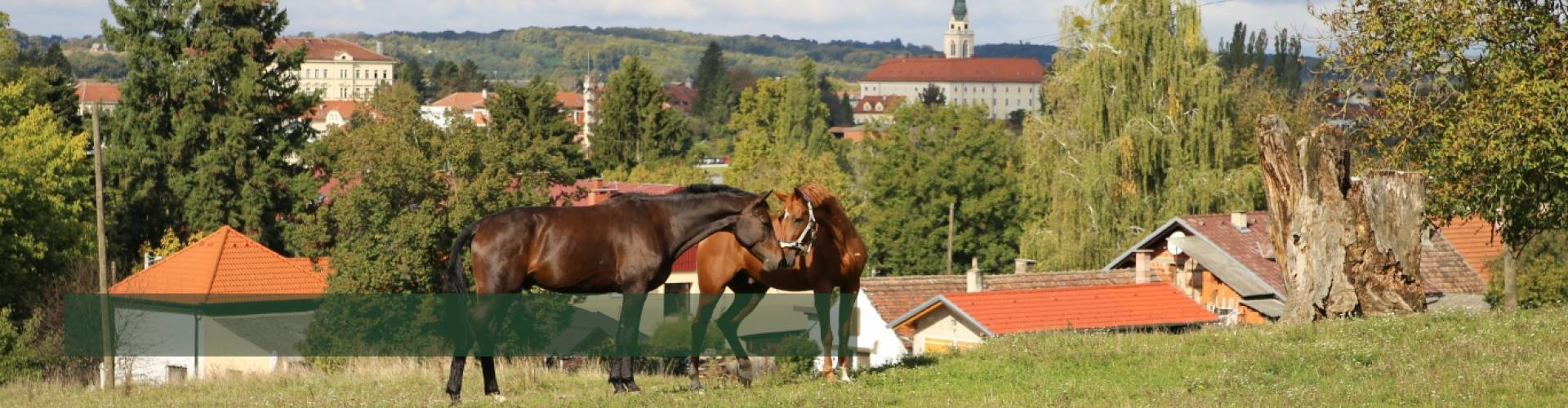 Video: Veleučilište u Križevcima kroz povijest