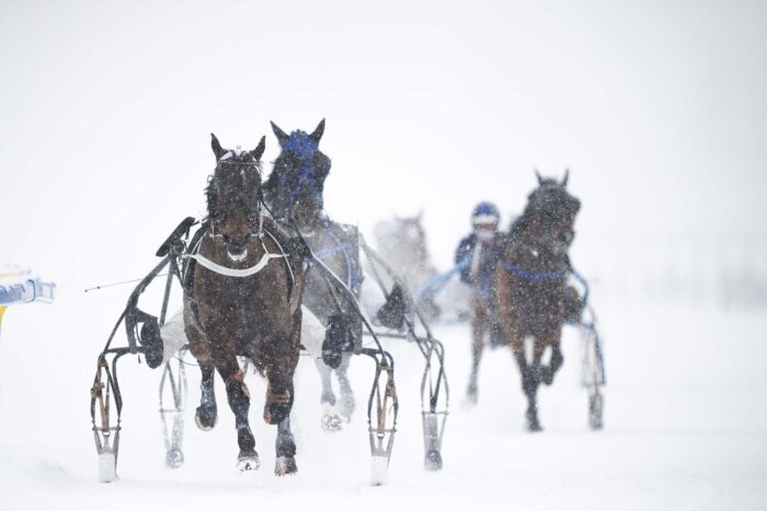 White Turf St. Moritz 2025 - 2. Race Sunday