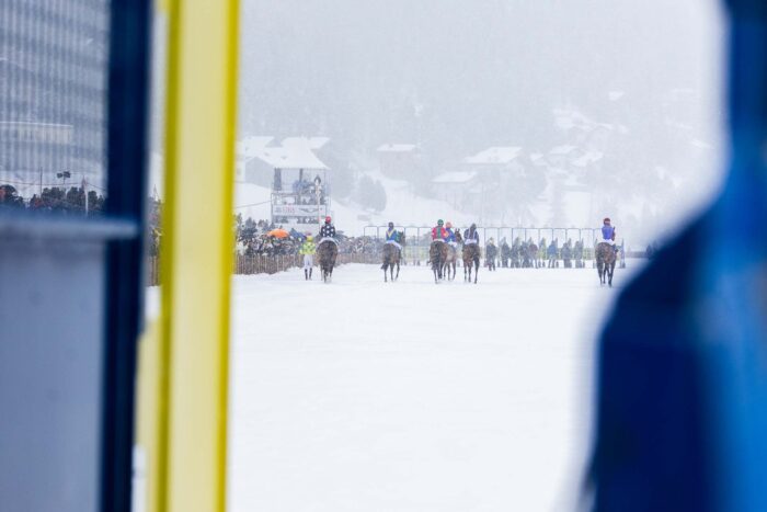 White Turf St. Moritz 2025 - 2. Race Sunday